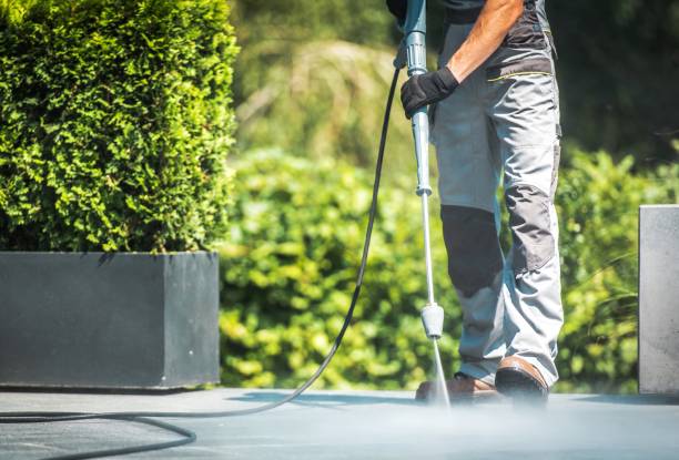 Solar Panel Cleaning in Mascotte, FL