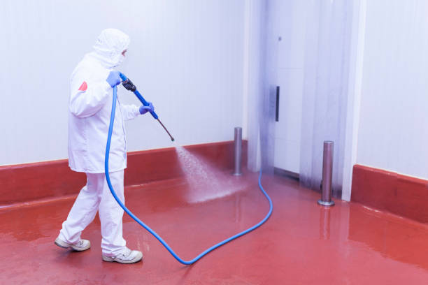 Best Parking Lot and Garage Cleaning  in Mascotte, FL