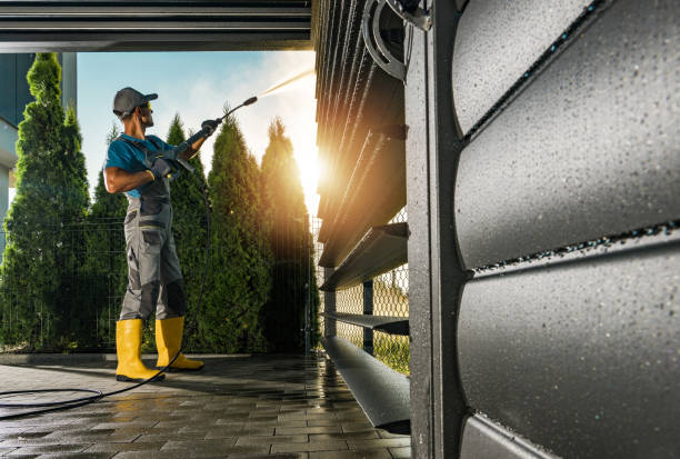 Best Solar Panel Cleaning  in Mascotte, FL